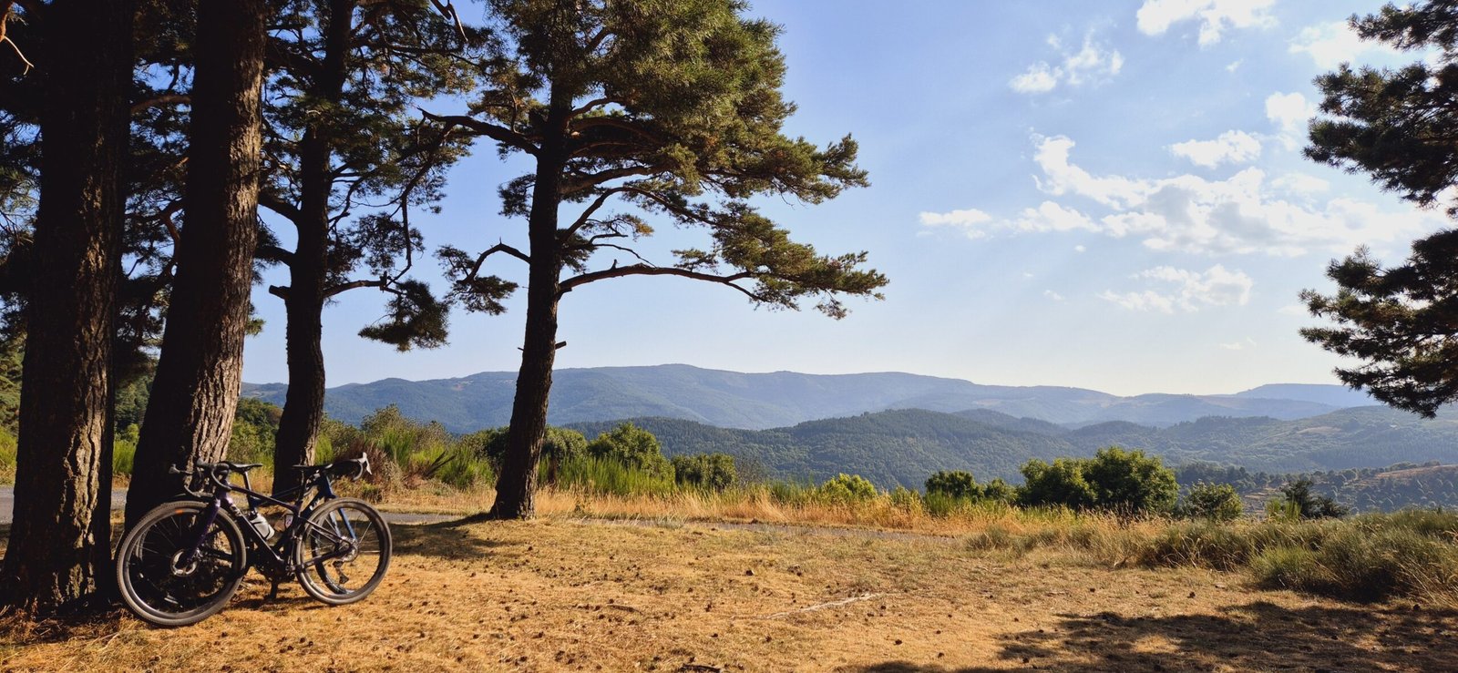 Deux vélo gravel et l'horizon sur les Monts d'Ardèche depuis une forêt de pin