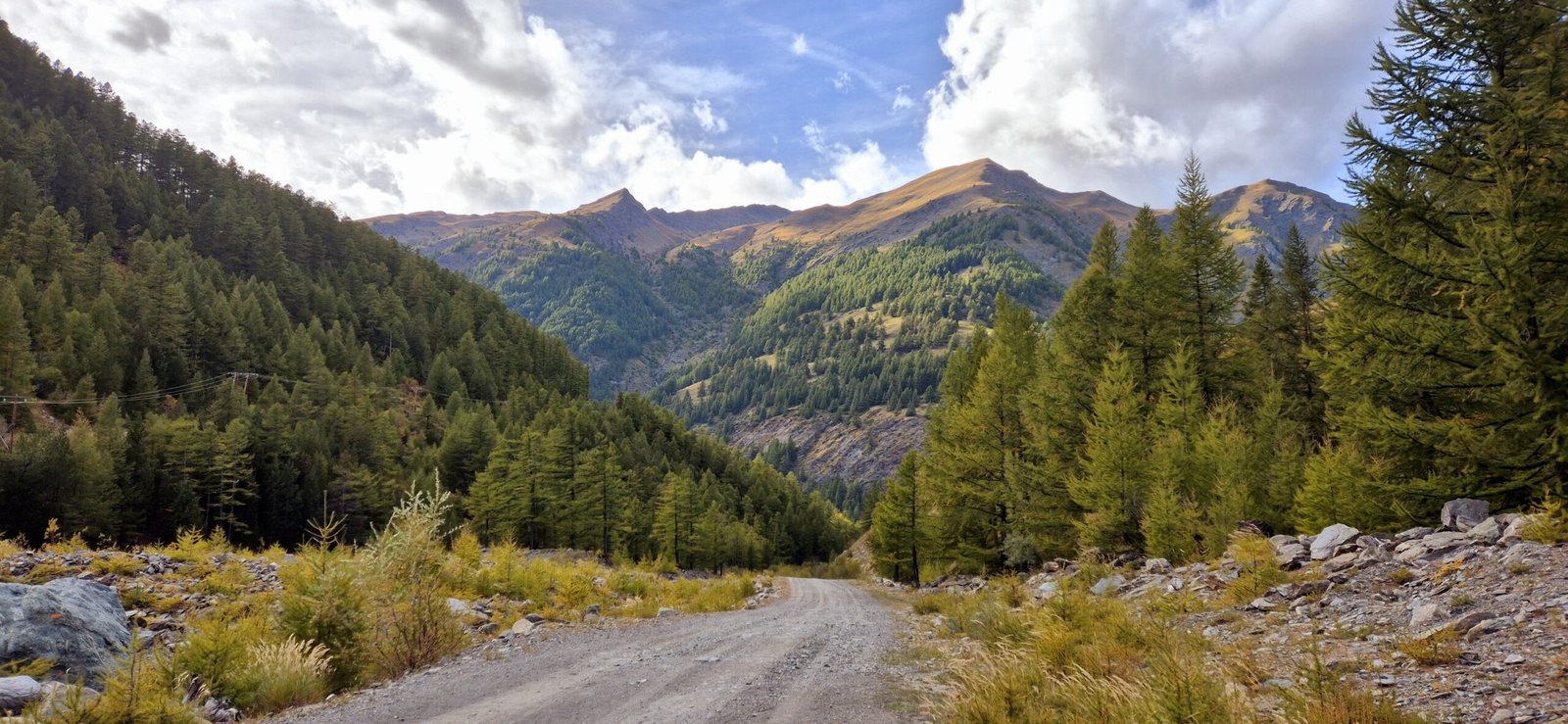 Chemin de gravel en montagne en automne