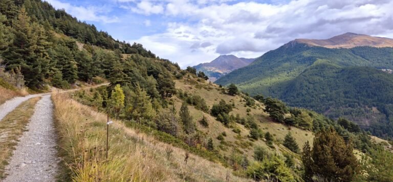 Route forestière dans les Hautes-Alpes